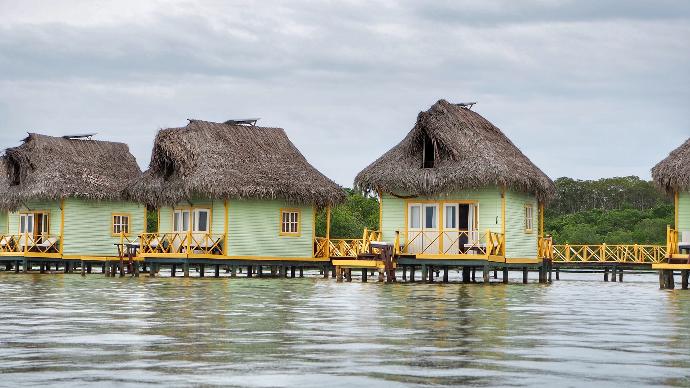 brown and white house on water